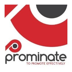 CEO, Prominate